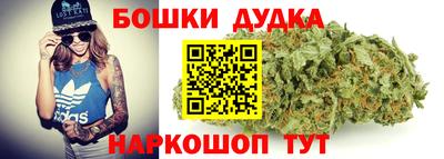 гидра Тверь