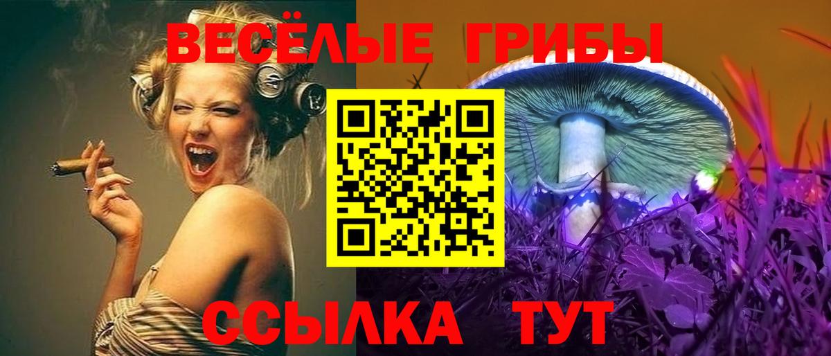 Чернушка  Галлюциногенные грибы прущие грибы  Вход с VPN 